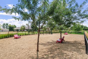 Dog park